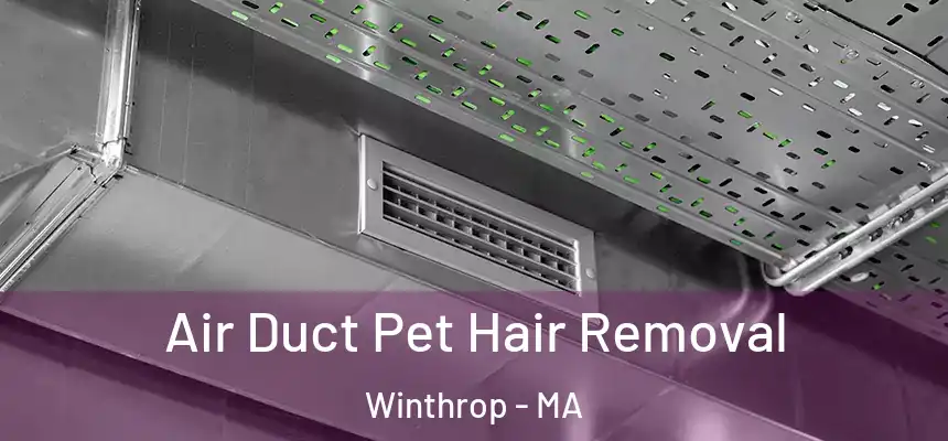  Air Duct Pet Hair Removal Winthrop - MA