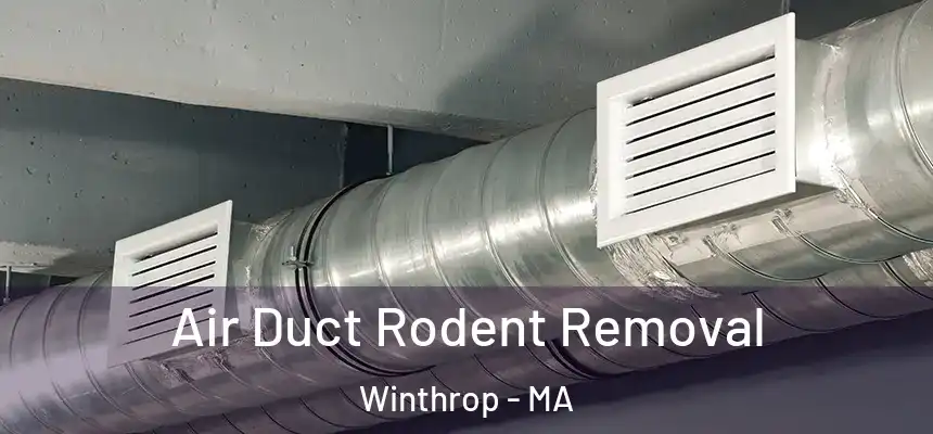  Air Duct Rodent Removal Winthrop - MA