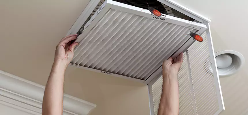 Our Insect Removal from Air Ducts Services in Winthrop, MA