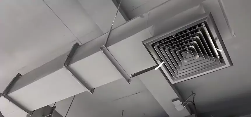 Our Pest Removal From Ducts Services in Winthrop, MA