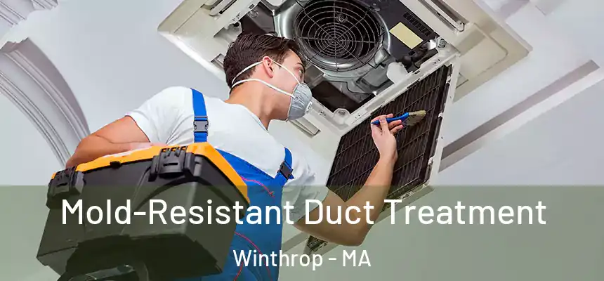  Mold-Resistant Duct Treatment Winthrop - MA