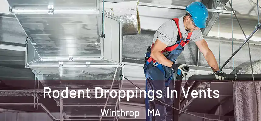  Rodent Droppings In Vents Winthrop - MA