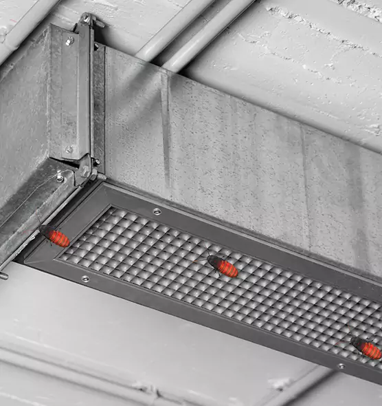 About Air Duct Cockroach Removal in Winthrop, MA