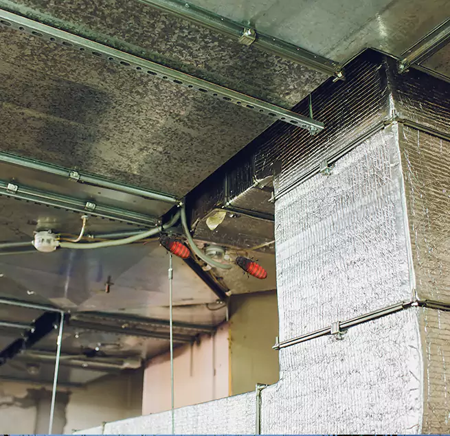 Why Homeowners & Businesses Trust Us Winthrop, MA?