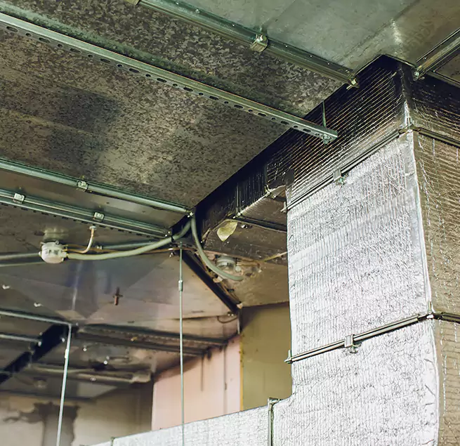 Why Homeowners & Businesses Trust Us in Winthrop, MA?